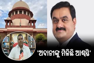 adani hindenburg case verdict