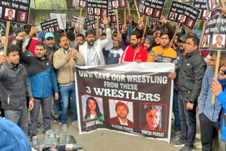 After the sports ministry's request, the three-member panel created by IOA is planning to organise the U-15 and U-20 categories within the next 40 days in Gwalior. This is happening after the ongoing crisis in Indian wrestling took a new twist on Wednesday when hundreds of junior wrestlers assembled at Jantar Mantar for a symbolic three-hour protest against the loss of one crucial year of their careers, blaming top grapplers Bajrang Punia, Sakshi Malik and Vinesh Phogat.