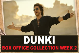 Dunki Box Office Collection Week 2