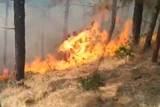 Forest Fire in Uttarkashi