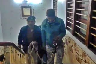 Doctor kidnapping in Jamshedpur