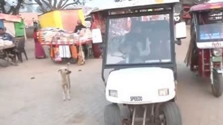 National religiosity has erupted ahead of Ram Lalla's consecration event on January 22. An environmentally friendly golf cart service was launched in Ayodhya on Tuesday with the goal of shielding the magnificent temple from pollution, as the city is nearly ready for the auspicious day.