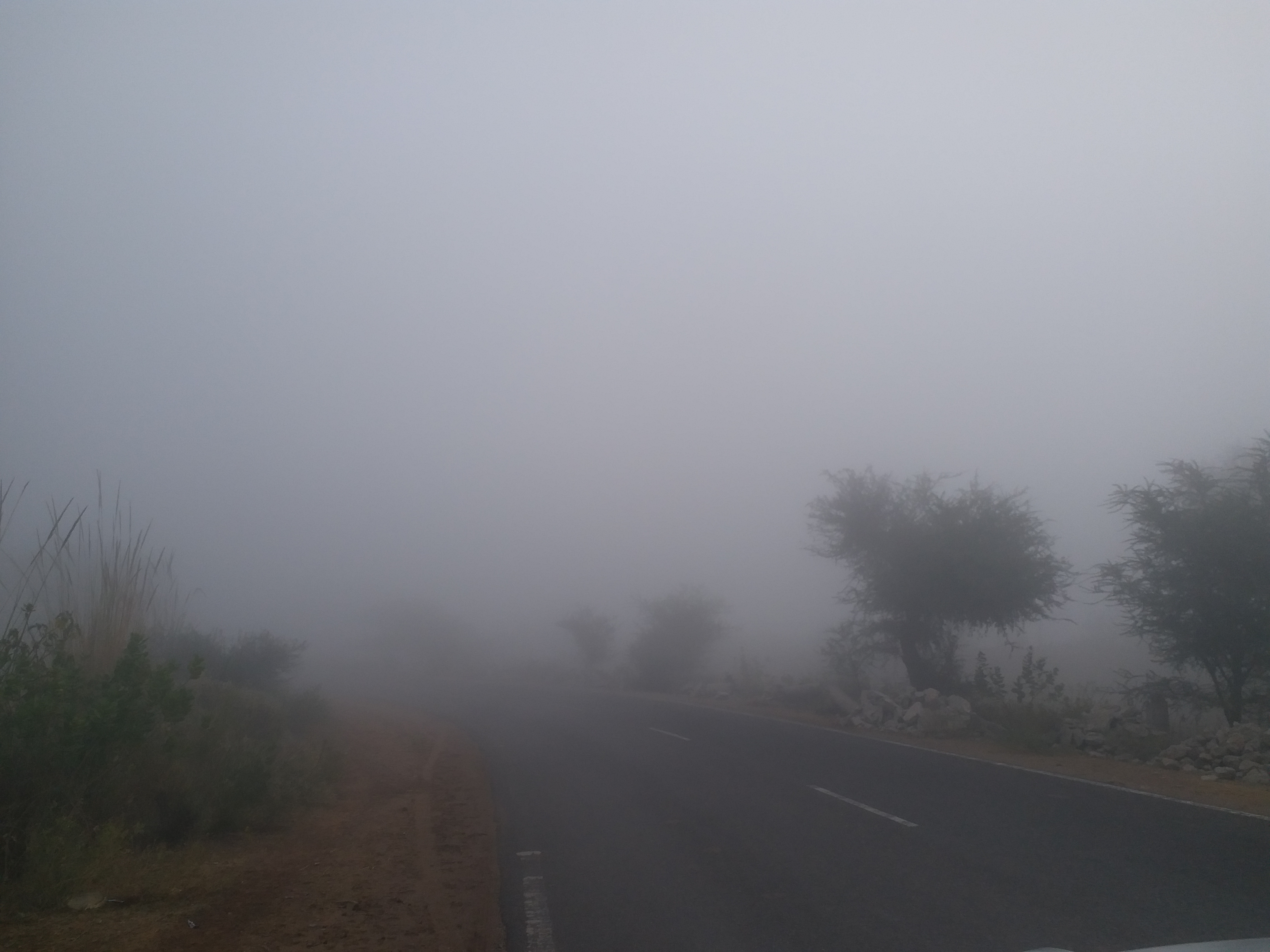 Dense Fog in Bikaner