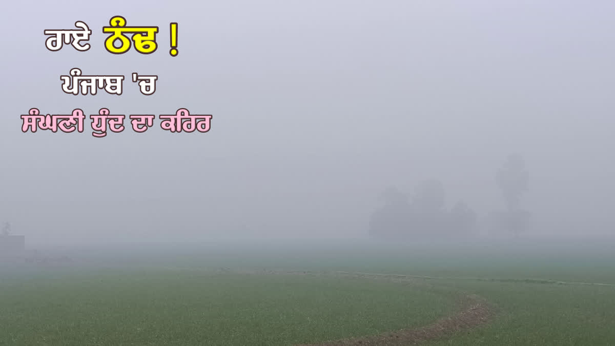 Punjab Weather