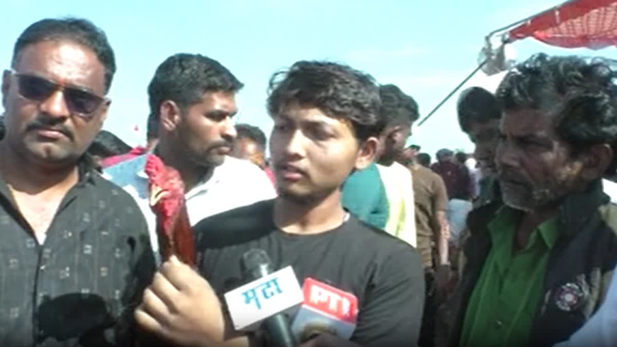 Fighter Rooster on a pilgrimage to Malegaon