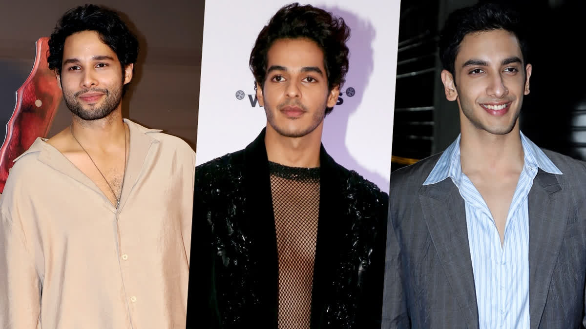 Zindagi Na Milegi Dobara 2? Siddhant Chaturvedi, Ishaan Khatter, And Vedang Raina's Goa Trip Sparks Sequel Buzz