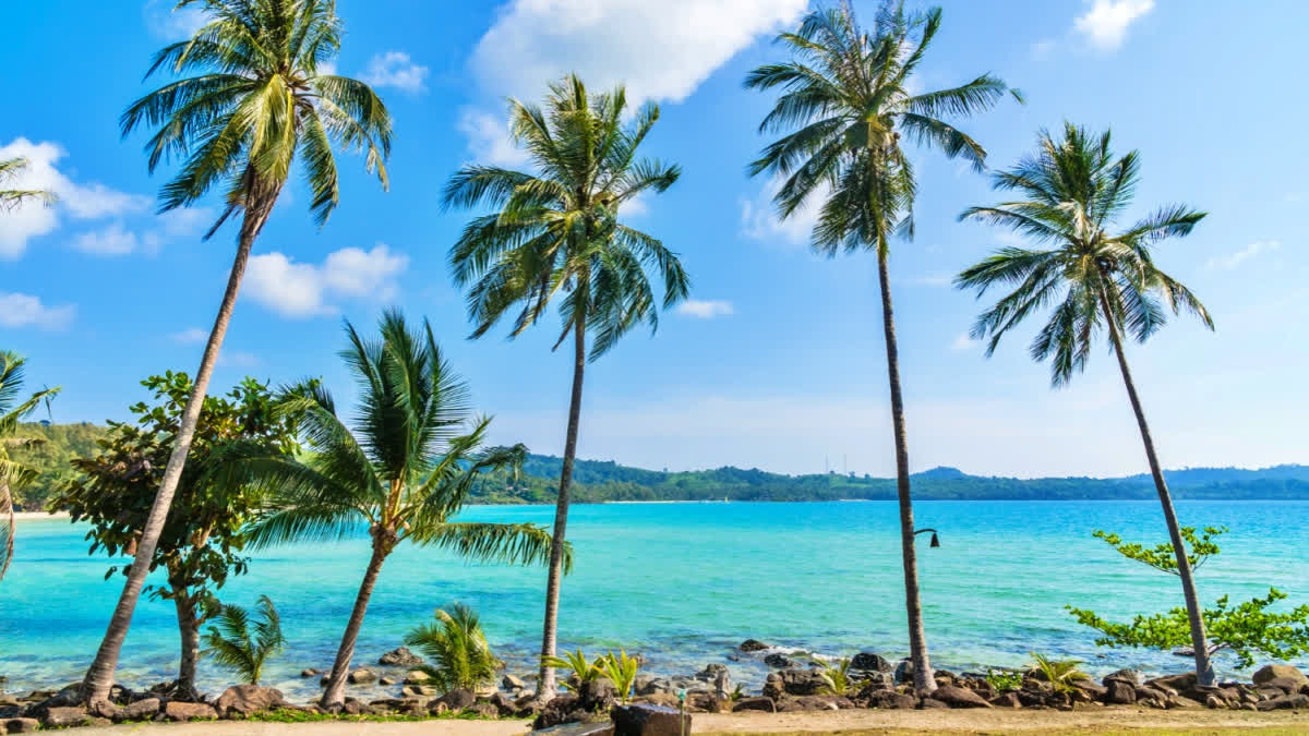 A beach in Goa