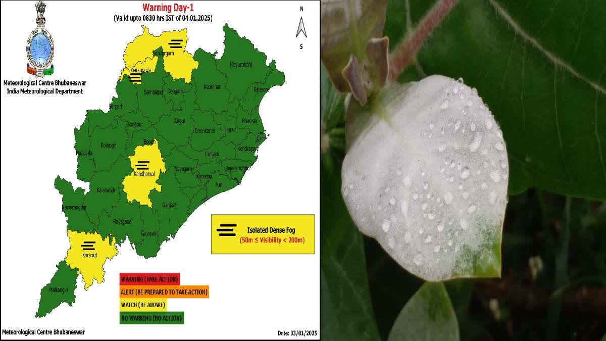 Odisha weather forecast