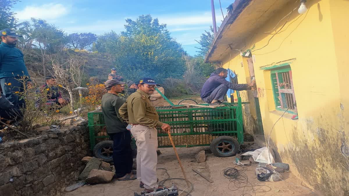 Champawat leopard attack