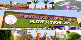 Ahmedabad's 25th Annual Flower Show Unveils Stunning Forest-Themed Displays And Interactive Experiences