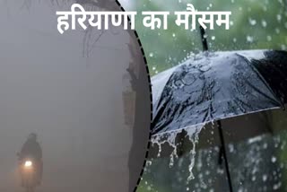 Haryana weather update