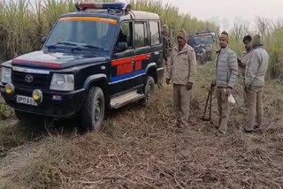 Husband, Brother Murder Uttar Pradesh Woman Accused of Illicit Affair In Gruesome Honour Killing; Her Body Found Dug Out From Pit