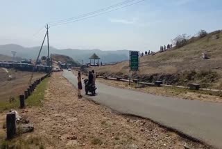 PEERUMEDU  TIGER Found In Peerumedu  PARUNTHUMPARA  TOURIST destinations Idukki