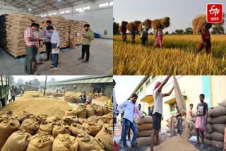 At what stage is the ambitious scheme of the Government of Assam for procurement of paddy