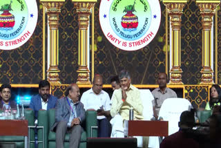 n World Telugu Federation conference