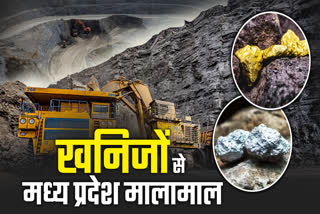 MINERALS INCREASED MP REVENUE