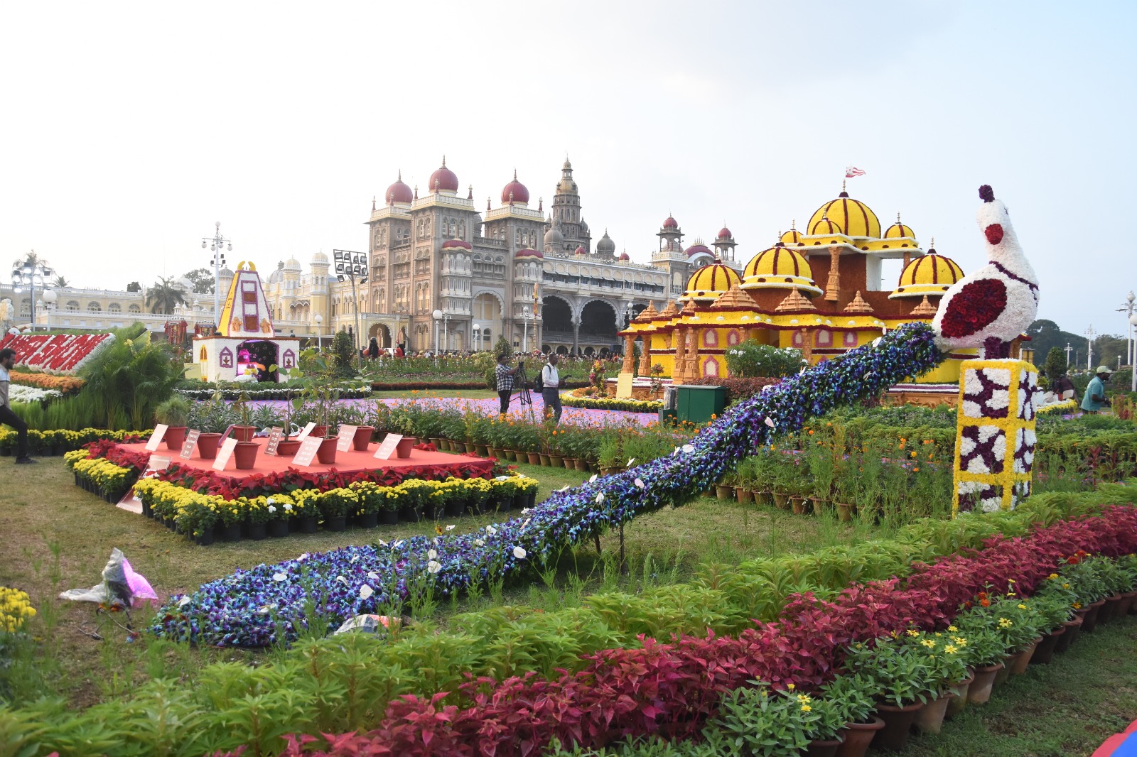 Mysuru Magi Flower Show