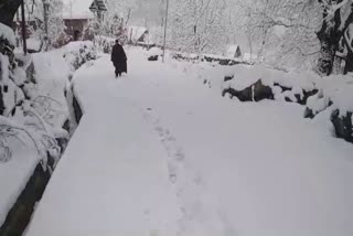 کشمیر کے مختلف علاقوں میں تازہ برفباری