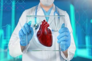 Abnormal Heartbeat Symptoms In Telugu