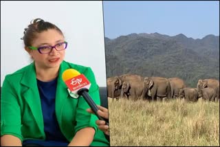 etv-bharat-interview-with-experts-on-elephant-corridor