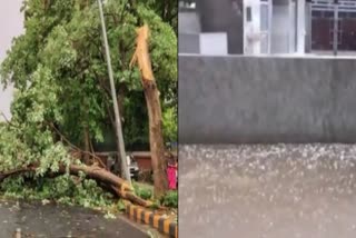 Haryana Weather Alert ThunderStorm HailStorm Coming 11 Districts Hail Alert Chandigarh Haryana News