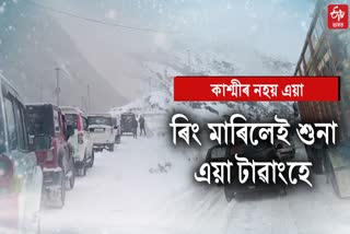 Heavy Snowfall Near Sela Pass