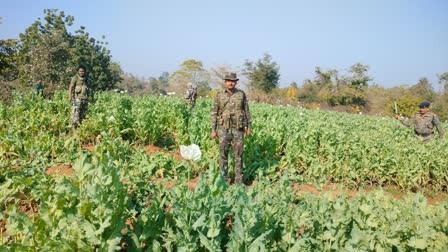 Campaign against poppy cultivation