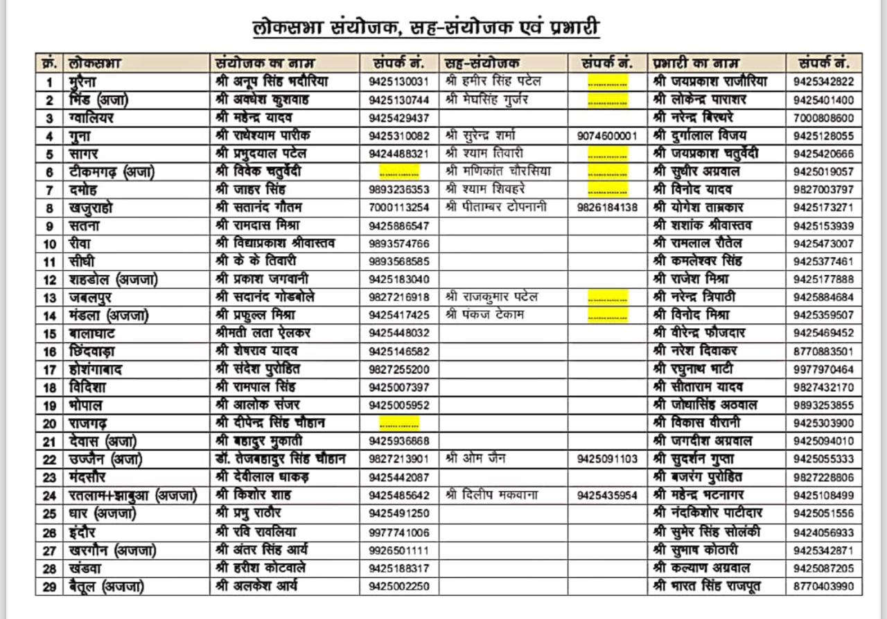 BJP appointed 29 LokSabha in charge