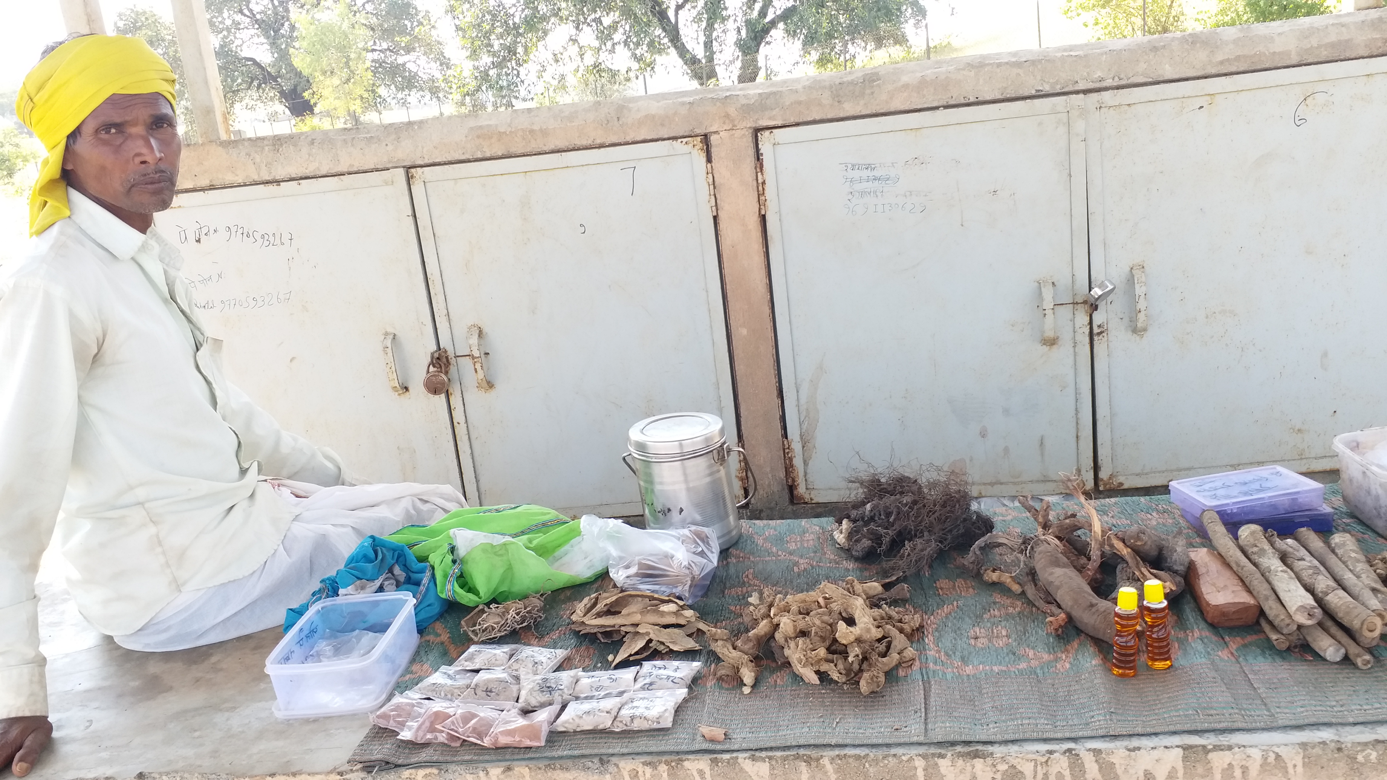 chhindwara tribal areas dry fruits