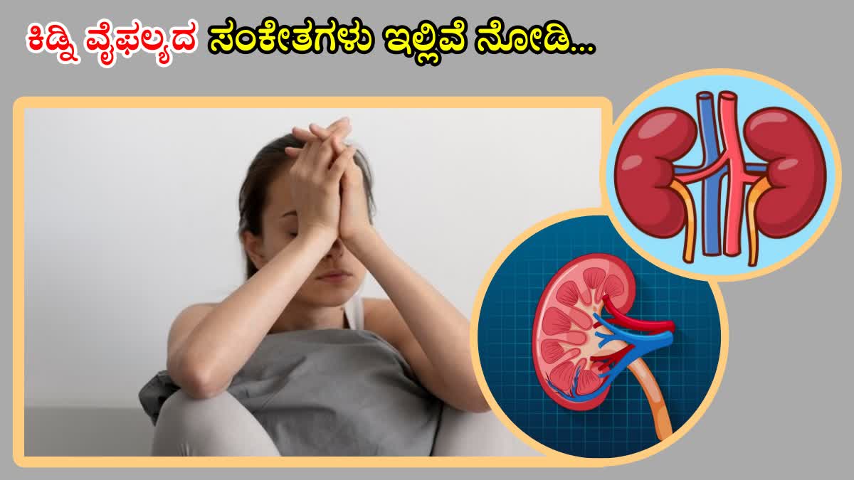 TIPS FOR HEALTHY KIDNEYS  SYMPTOMS OF KIDNEY DISEASE  KIDNEY FAILURE SYMPTOMS  SIGNS OF KIDNEY DISEASE