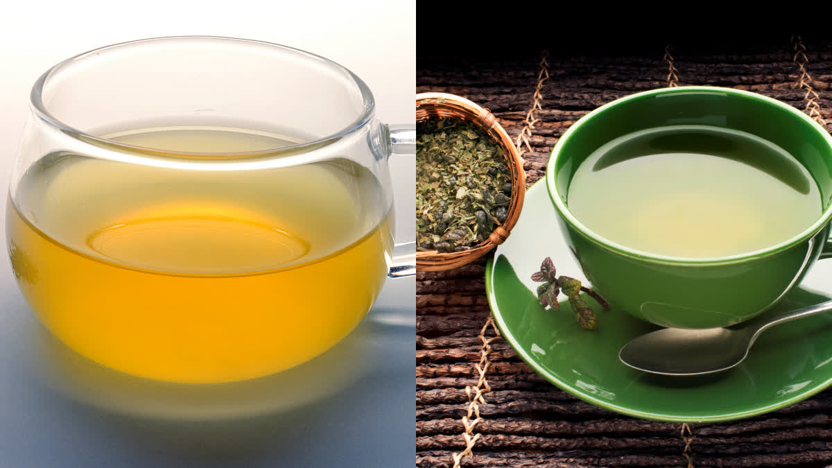 green tea benefits in telugu