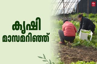 CROPS TO BE CULTIVATED IN INDIA  VEGETABLE FARMING IN INDIA  ഇന്ത്യയില്‍ കൃഷി രീതി  AGRICULTURE 12 MONTH TO DO