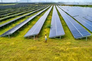 Power Plants Crop Field