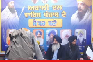 Recruitment campaign began by Shiromani Akali Dal Waris Punjab, enthusiasm seen among youth