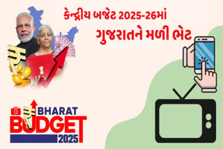 કેન્દ્રીય બજેટ 2025-26માં ગુજરાતને મળી અનેક ભેટ