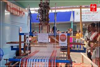 Maina Automatic loom