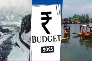 Eco-Sensitive Kashmir Seeks Bigger Share Of Environmental Budget