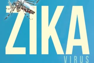 Zika Virus Alert: WHO Warns Of Neurological Complications, Including Guillain-Barre Syndrome