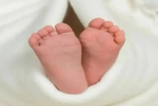 NEWBORN BABY FOUND DEAD IN FOREST