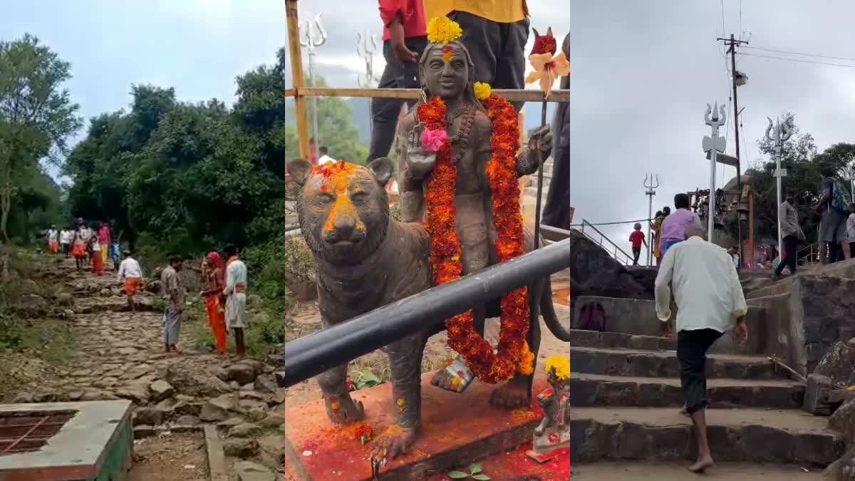 ಮಲೆ ಮಹದೇಶ್ವರ ಬೆಟ್ಟ  ನಾಗಮಲೆ  ಅರಣ್ಯ ಇಲಾಖೆ  Male Mahadeshwar hill  Nagamale