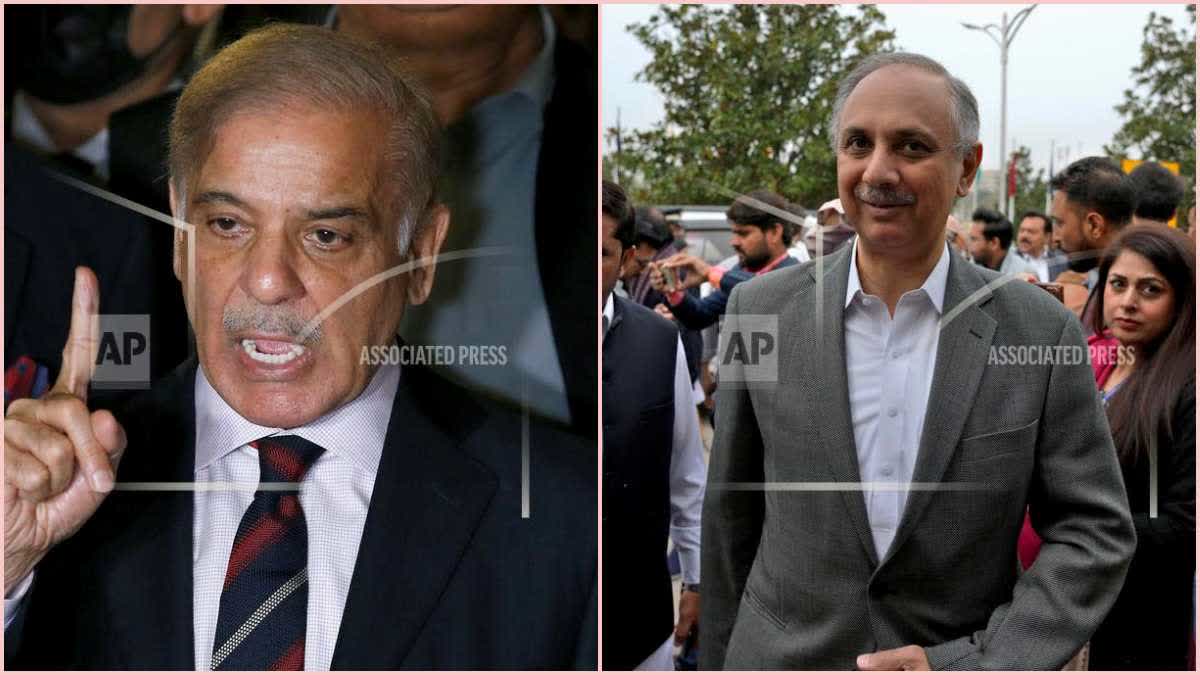 Shehbaz Sharif vs Omar Ayub