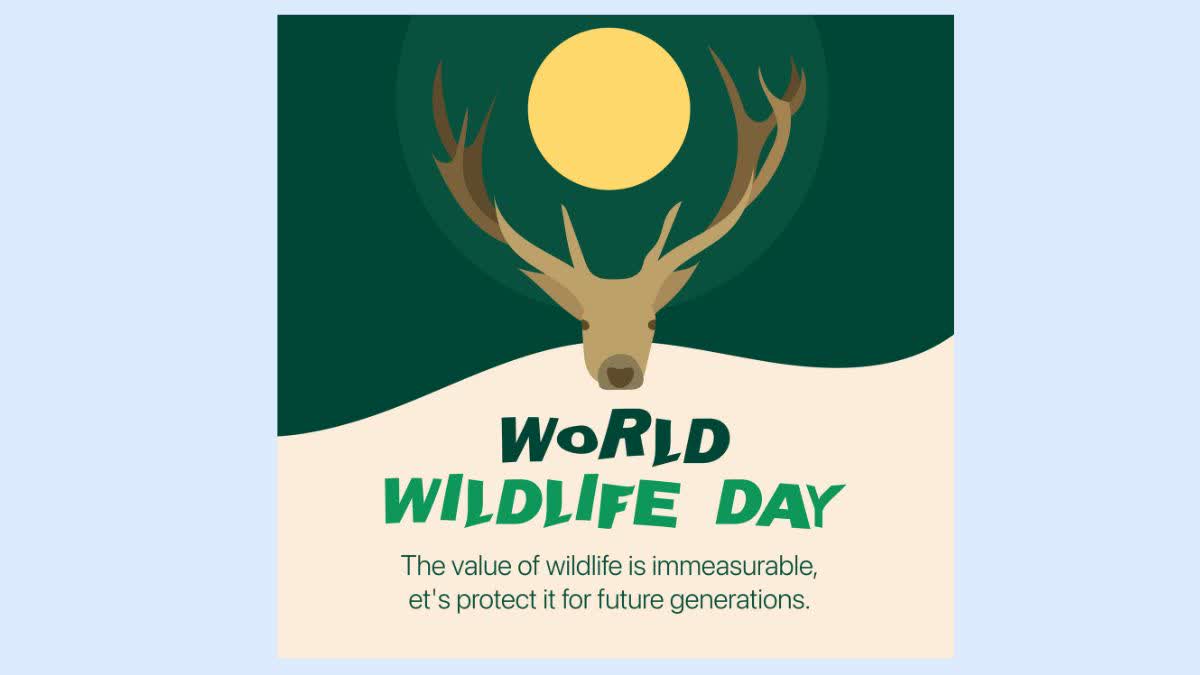 WORLD WILDLIFE DAY 2024