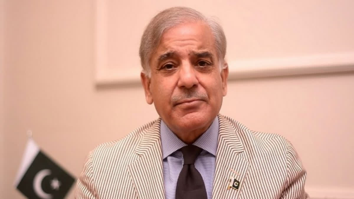 PakistaPakistan newly-elected PM Shehbaz rakes up Kashmir issuen newly-elected PM Shehbaz rakes up Kashmir issue