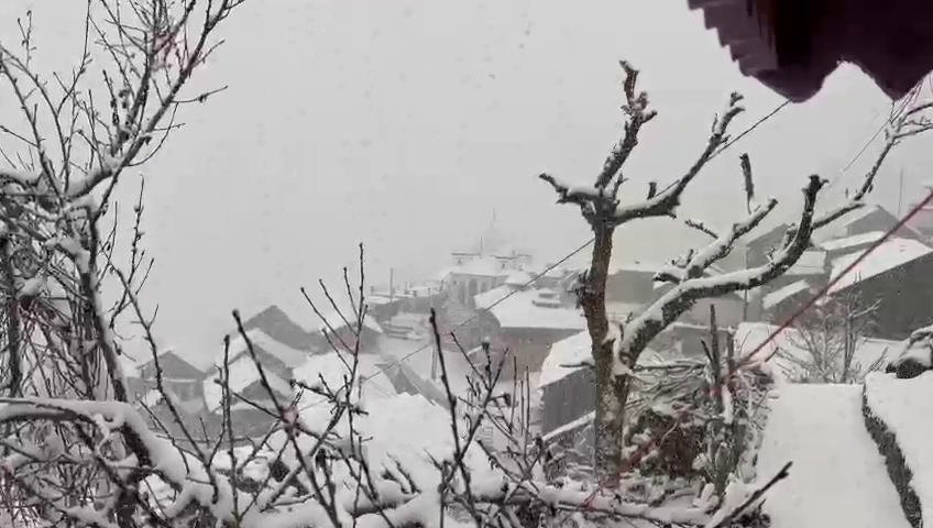 Snowfall in Gangotri