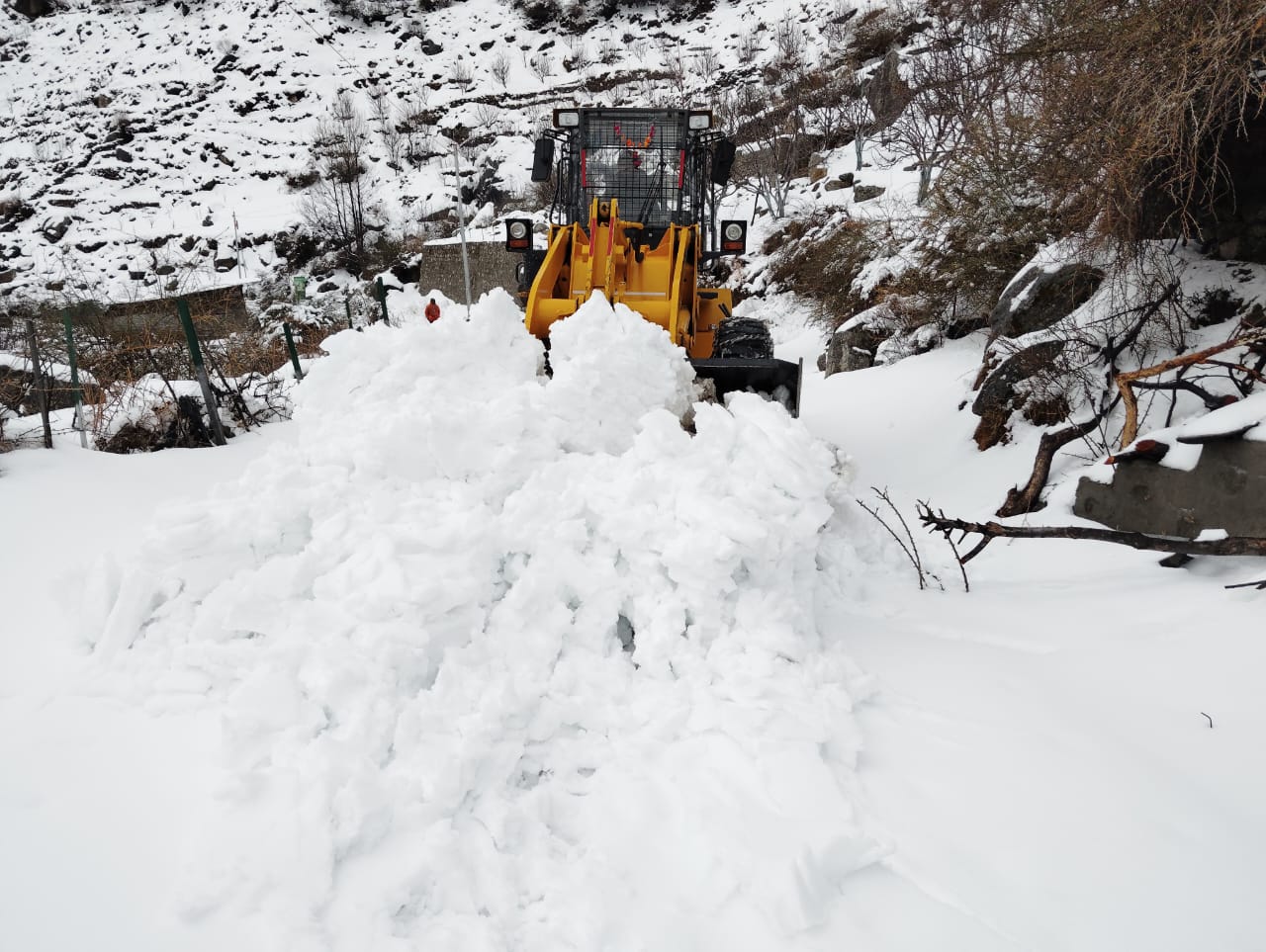 Snowfall in Gangotri