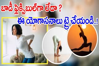 Body Flexibility Yoga Asanas