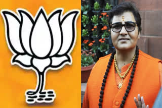 In a clean-up, BJP flushes out MPs known for Islamophobic rants, hate speech