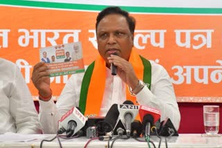 BJP Leader Ashish Shelar