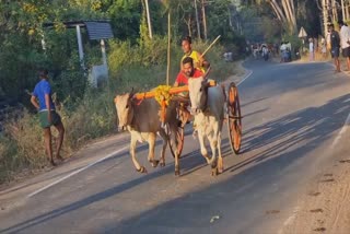 தேனியில் களைகட்டிய ரேக்ளா ரேஸ் பந்தயம்