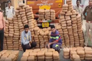 Chhatisgarh Police on Sunday arrested two persons and recovered over 17 quintals of ganja worth Rs 8 crore from their possession in Chhattisgarh's Mahasamund.